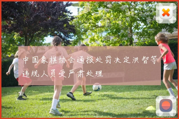 中国象棋协会通报处罚决定洪智等违规人员受严肃处理